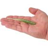 imageBerkley PowerBait Saltwater Bonga Stick Fishing Soft Bait Irresistible Scent and Flavor Ideal for Bass Redfish Trout and MoreSwamp
