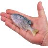 imageBerkley PowerBait Saltwater Gilly Fishing Soft BaitHD Menhaden