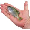 imageBerkley PowerBait Saltwater Gilly Fishing Soft BaitHD Pilchard