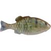 imageBerkley PowerBait Saltwater Gilly Fishing Soft BaitHD Pinfish
