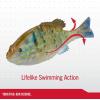 imageBerkley PowerBait Saltwater Gilly Fishing Soft BaitHD Pinfish