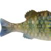 imageBerkley PowerBait Saltwater Gilly Fishing Soft BaitHD Pinfish