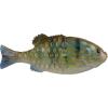 imageBerkley PowerBait Saltwater Gilly Fishing Soft BaitHD Pinfish