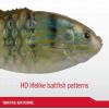 imageBerkley PowerBait Saltwater Gilly Fishing Soft BaitHD Pinfish