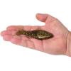 imageBerkley PowerBait Saltwater Gillydine Fishing Soft BaitDark Night