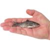 imageBerkley PowerBait Saltwater Gillydine Fishing Soft BaitHD Mullet