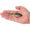 imageBerkley PowerBait Saltwater Gillydine Fishing Soft BaitSilver Flash