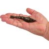 imageBerkley PowerBait Saltwater PowerSwitch Shrimp Fishing Soft BaitDark Night
