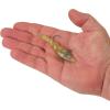 imageBerkley PowerBait Saltwater PowerSwitch Shrimp Fishing Soft BaitGold