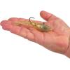 imageBerkley PowerBait Saltwater PowerSwitch Shrimp Fishing Soft BaitGold