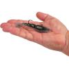imageBerkley PowerBait Saltwater PowerSwitch Shrimp Fishing Soft BaitMolting