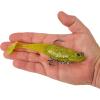 imageBerkley PowerBait Saltwater PreRigged Cullshad Fishing Soft BaitChartreuse Flash
