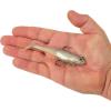 imageBerkley PowerBait Saltwater PreRigged Cullshad Fishing Soft BaitChrome Flash