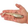 imageBerkley PowerBait Saltwater PreRigged Cullshad Fishing Soft BaitCold Beer