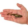 imageBerkley PowerBait Saltwater PreRigged Cullshad Fishing Soft BaitDark Night