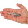 imageBerkley PowerBait Saltwater PreRigged Cullshad Fishing Soft BaitMermaid