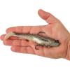 imageBerkley PowerBait Saltwater PreRigged Cullshad Fishing Soft BaitMullet