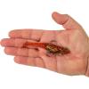 imageBerkley PowerBait Saltwater PreRigged Cullshad Fishing Soft BaitRoot Beer Gold