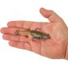imageBerkley PowerBait Saltwater PreRigged Cullshad Fishing Soft BaitSilver Flash