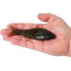 imageBerkley PowerBait ShadE Fishing Soft BaitGreen Pumpkin