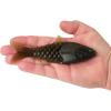 imageBerkley PowerBait ShadE Fishing Soft BaitGreen Pumpkin