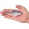 imageBerkley PowerBait ShadE Fishing Soft BaitHB Blue Shad