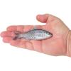 imageBerkley PowerBait ShadE Fishing Soft BaitHD Blueback Herring