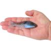 imageBerkley PowerBait ShadE Fishing Soft BaitIKEs Green Pumpkin Blue Flash