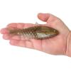 imageBerkley PowerBait ShadE Fishing Soft BaitTennessee Shad
