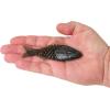 imageBerkley PowerBait ShadE Fishing Soft BaitWatermelon Candy