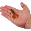 imageBerkley PowerBait Shape 108 Fishing Soft BaitAlabama Craw