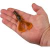 imageBerkley PowerBait Shape 108 Fishing Soft BaitAlabama Craw