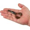 imageBerkley PowerBait Shape 108 Fishing Soft BaitBluegill Flash