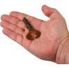 imageBerkley PowerBait Shape 108 Fishing Soft BaitCalifornia