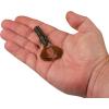 imageBerkley PowerBait Shape 108 Fishing Soft BaitGreen Pumpkin