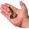 imageBerkley PowerBait Shape 108 Fishing Soft BaitGreen Pumpkin
