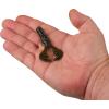 imageBerkley PowerBait Shape 108 Fishing Soft BaitOkeechobee Craw