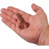 imageBerkley PowerBait Shape 108 Fishing Soft BaitPeanut Butter and Jelly