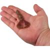 imageBerkley PowerBait Shape 108 Fishing Soft BaitPeanut Butter and Jelly