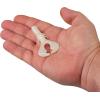 imageBerkley PowerBait Shape 108 Fishing Soft BaitPearl White