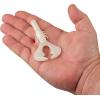 imageBerkley PowerBait Shape 108 Fishing Soft BaitPearl White