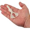 imageBerkley PowerBait Shape 108 Fishing Soft BaitPearl White