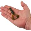 imageBerkley PowerBait Shape 108 Fishing Soft BaitWatermelon