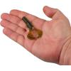 imageBerkley PowerBait Shape 108 Fishing Soft BaitWatermelon