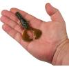 imageBerkley PowerBait Shape 108 Fishing Soft BaitWatermelon