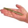 imageBerkley PowerBait The General Fishing Bait Baby Bass 6 14in  16cm Soft Stick Bait with Irresistible Flavor EyePopping Colors Classic Stick Bait Action Deadly Bass Bait