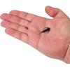 imageBerkley PowerBait Trilobite Fishing Soft BaitBlack