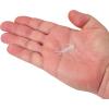 imageBerkley PowerBait Trilobite Fishing Soft BaitGlow White