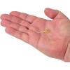 imageBerkley PowerBait Trilobite Fishing Soft BaitSmoke