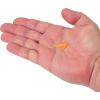 imageBerkley PowerBait Trilobite Fishing Soft BaitTropical